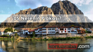 05 Nerenin Plakası?