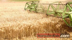 Gümrükten Satılık Biçerdöver