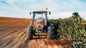 İcradan Satılık Traktör